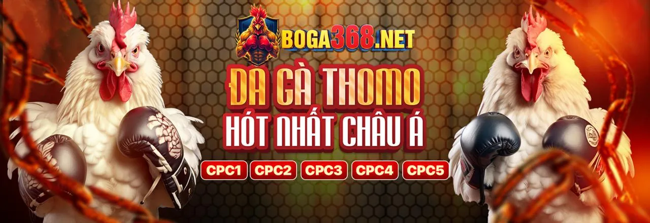 Hình ảnh chính Blog 32win1 Nhà Cái